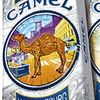 Williamsburg Brand Camels Have Arrived